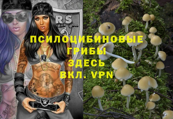 бошки Осташков