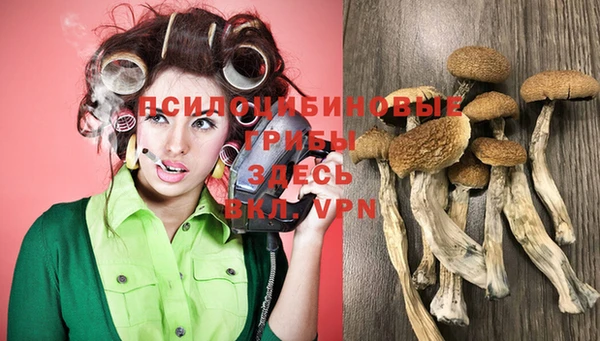 каннабис Алексин