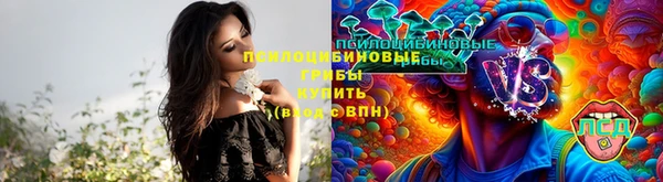 кокс Алексеевка