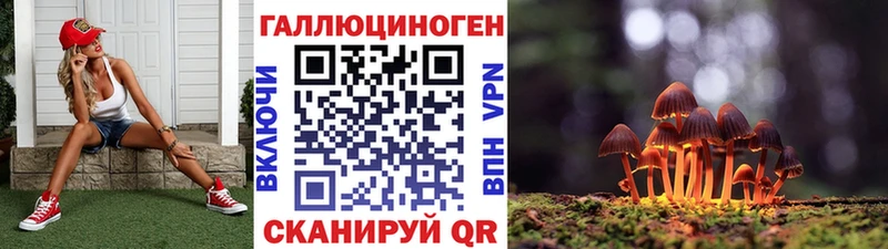 OMG зеркало  Сунжа  Галлюциногенные грибы Cubensis 