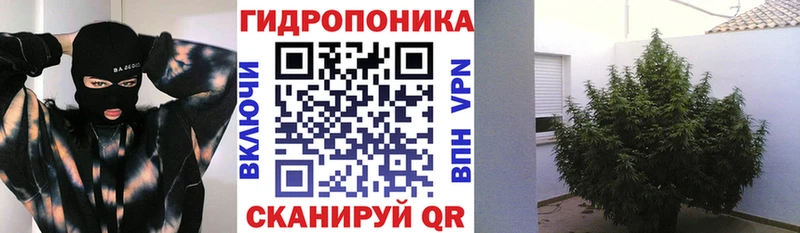 Канабис MAZAR Сунжа